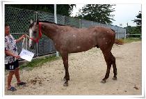 ��ȭ�ǰ��� (MUNHWAUIGANGJA) ����