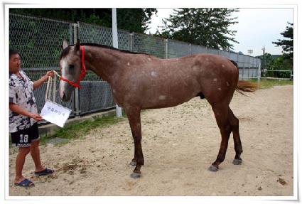 ��ȭ�ǰ��� ����