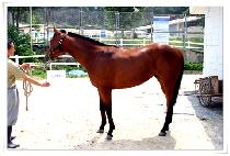 ���Ÿ (JAVATA) ����