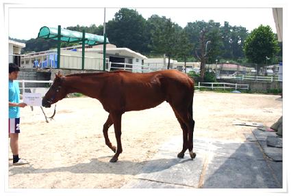 ���������÷��� ����