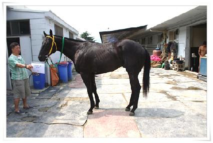 ������������̾� ����