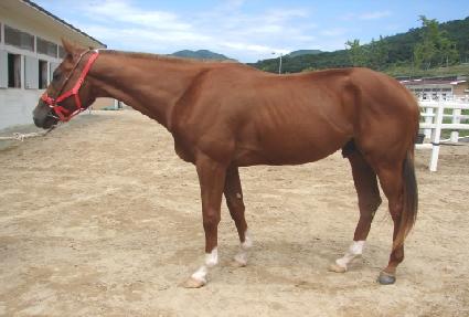 ���� ����