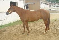 �����̽��� (SPACESHIP) ����