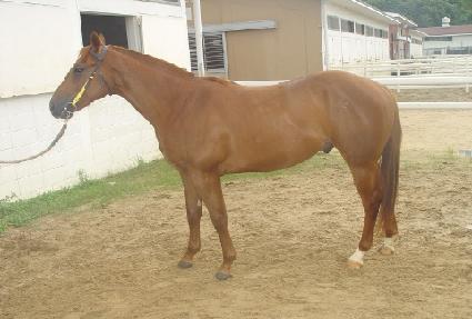 �����̽��� ����