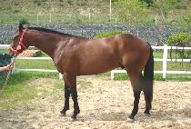 �̽���ŸŰ�� (MR. TACHYON) ����