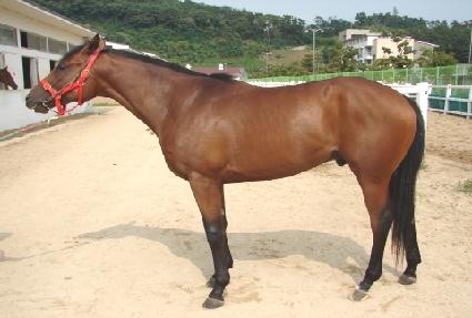 �������� ����