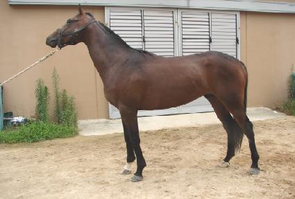 �ݺ����� ����