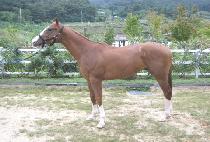 ��Ʈ����Ʈ�Ľ� (STRAIGHTSIX) ����