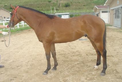 �ȷ��� ����