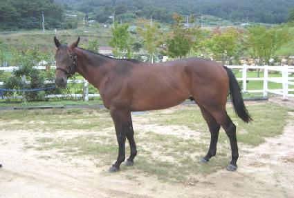 �����ϸ� ����