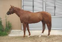 ���������� (NAMSANUI JEONGGI) ����