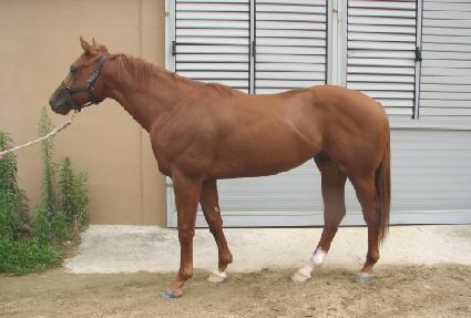 ���������� ����