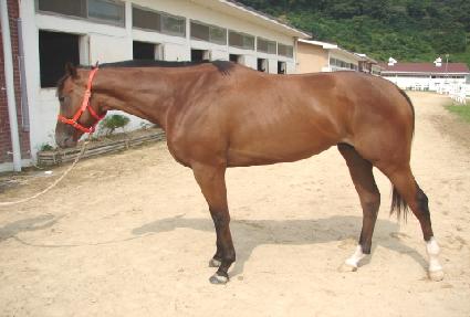 �ΰ��屺 ����