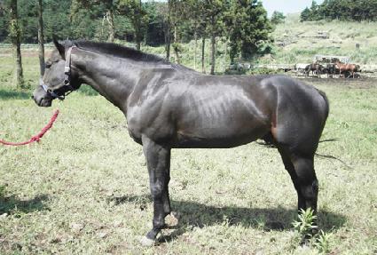 �����Ǻ��� ����