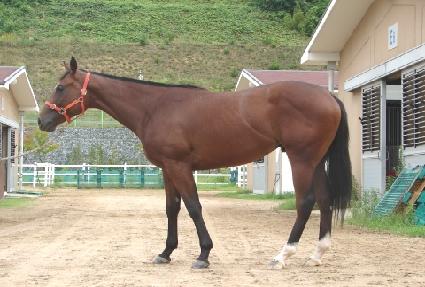 Ÿ�̰ŷ����� ����