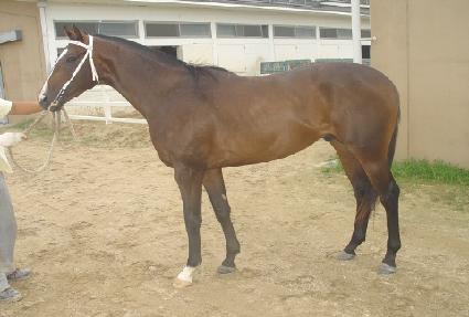 ���ι� ����