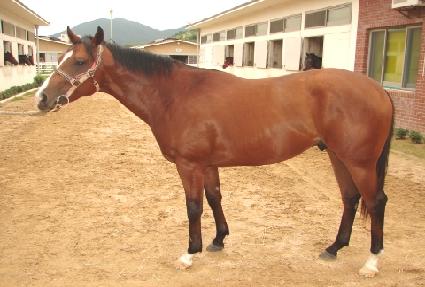 �����ǽ������� ����