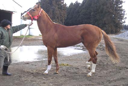 ����Ű�� ����