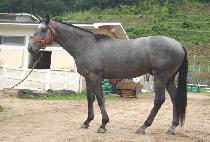 ���౺ (GANGHAENGGUN) ����