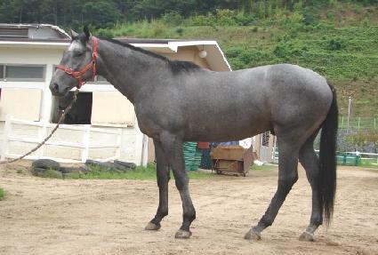 ���౺ ����