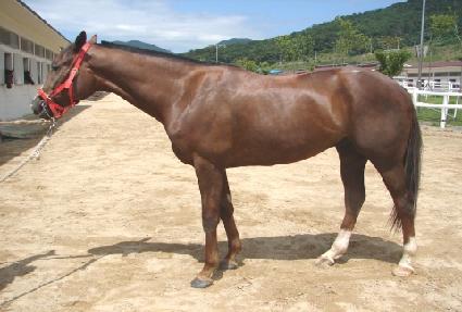 ��극��Ŀ ����