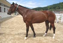 ���������� (BROTHER MARINA) ����