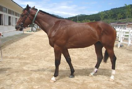 ���������� ����