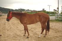 ����ũ������ (LAKE��S THUNDER) ����