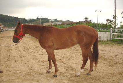 ����ũ������ ����