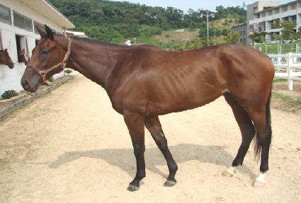 �̷�Ŭ����Ʈ ����