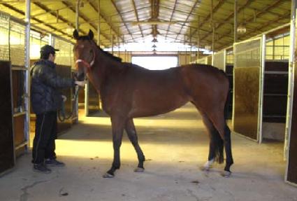 �����йи� ����