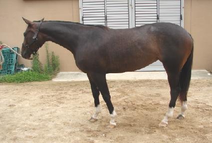 Ŭ���ķ�� ����