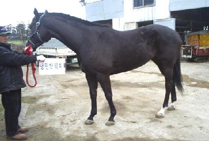 �������ູ ����