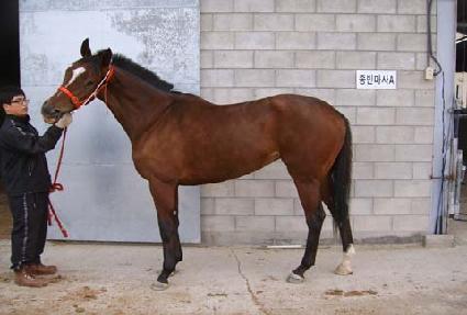 �̽����� ����