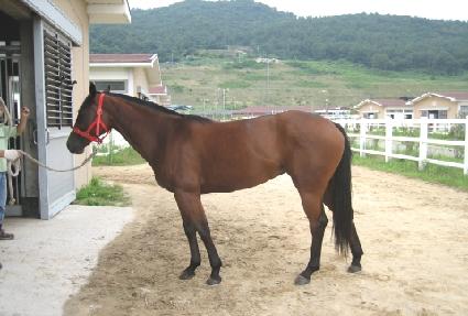 ���ο���� ����