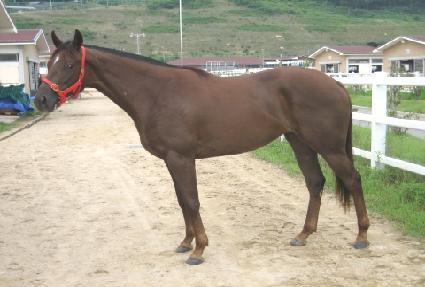 ���Ƶ��� ����