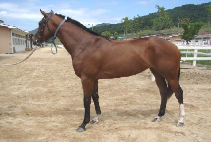 �Ķ��� ����