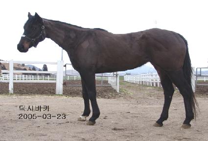 ��ú�ī ����