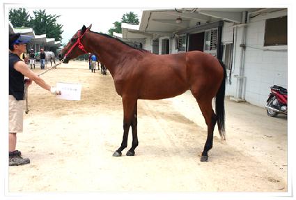 ����Ŀ����� ����