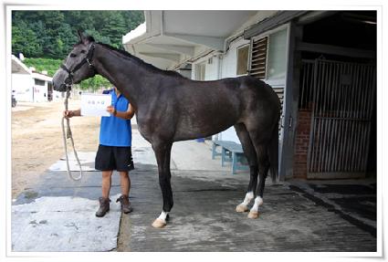 �¸��Ҹ� ����