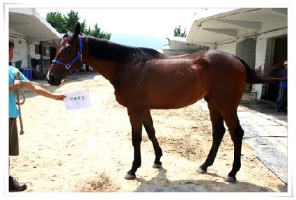 ����Ư�� ����