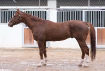 �����ǰ��� (DONGBANUI GANGJA) ����