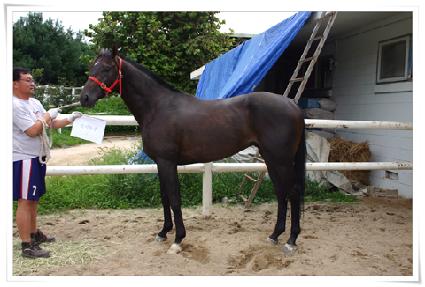 õ����ǳ ����