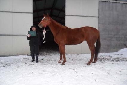 �Ҽ��� ����