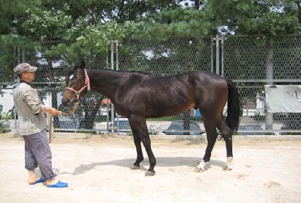 �����彺�� ����