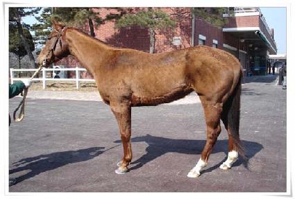 �ö��ֵ̾� ����