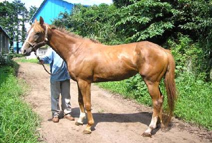 �������� ����