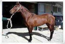 �䵿�� (YODONGSEONG) ����