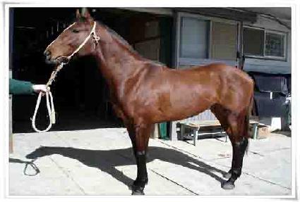 �䵿�� ����