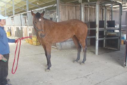 ��Ʈ��꼭�� ����